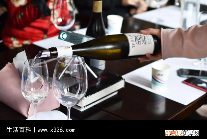 sgn中文是什么意思 sgn是什么的缩写