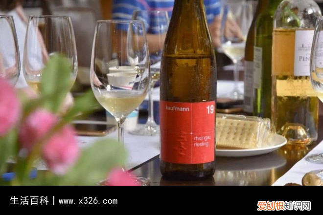 sgn中文是什么意思 sgn是什么的缩写