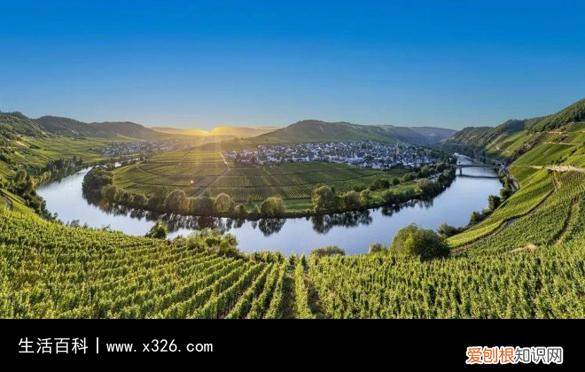 sgn中文是什么意思 sgn是什么的缩写