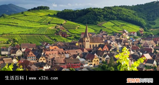 sgn中文是什么意思 sgn是什么的缩写