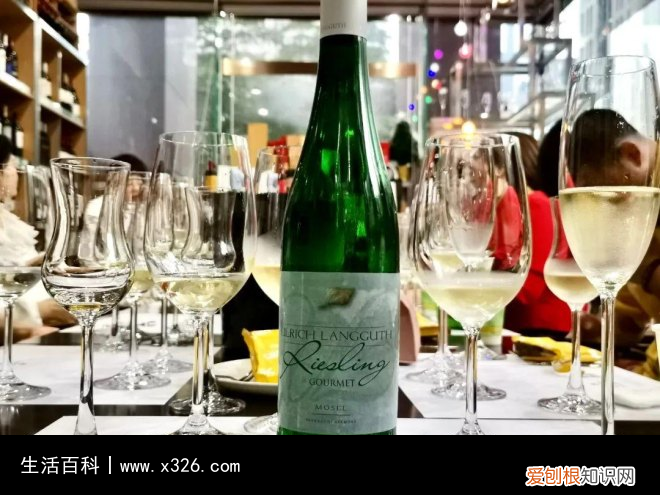 sgn中文是什么意思 sgn是什么的缩写