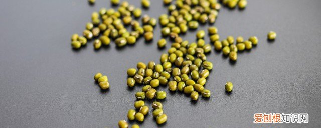 羊肉和绿豆一起吃可以吗 羊肉与绿豆能一起吃吗