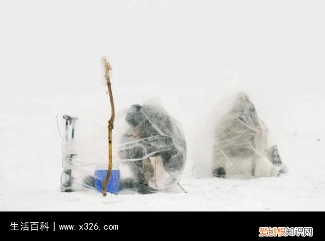 4、世界上最大的内陆国是哪个国家? 世界上最大的内陆国是什么国家