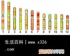传家久继世长诗句是什么诗 传家久上一句和下一句