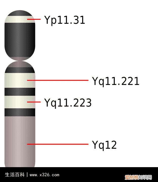 传家久继世长诗句是什么诗 传家久上一句和下一句