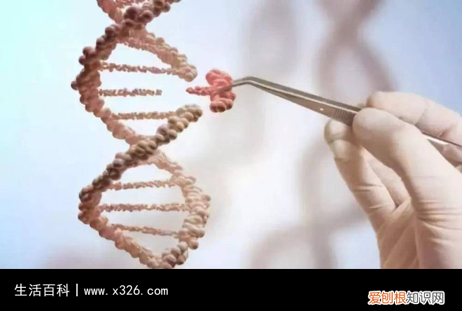 传家久继世长诗句是什么诗 传家久上一句和下一句