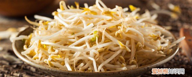 羊肉汤和绿豆芽能一起吃吗 羊肉和绿豆芽能一起吃吗