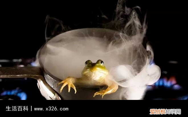 领悟温水煮青蛙寓意带来的致命威胁 温水煮青蛙是什么意思?