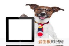 男生上半身发育不良怎么办 ，男生发育不全怎么办