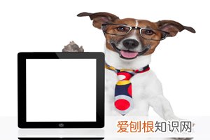 男生上半身发育不良怎么办 ，男生发育不全怎么办