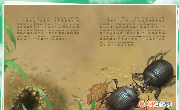 真正的科学精神是什么,法布尔科学精神的具体有哪些