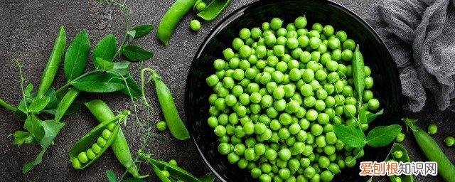 羊肉和豌豆能一起吃吗会中毒吗 羊肉和豌豆能一起吃吗