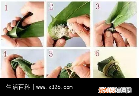粽子可以用哪些叶子包 可以用来包粽子的树叶