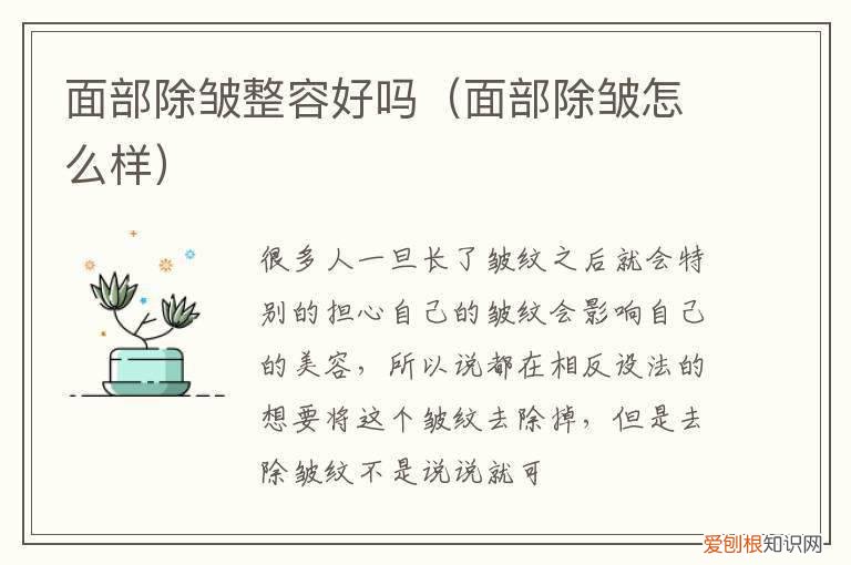 除皱算整容吗 面部除皱整容好吗