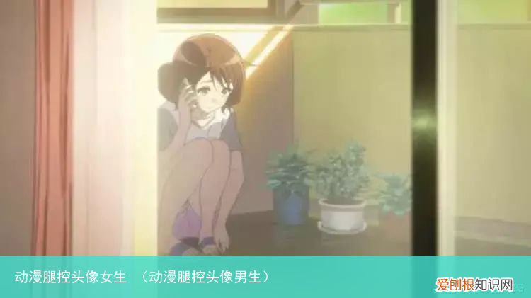 动漫腿控头像男生 动漫腿控头像女生