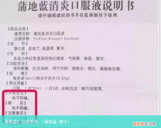 蒲地蓝 牌子 蒲地蓝0.3g说明书