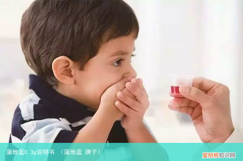 蒲地蓝 牌子 蒲地蓝0.3g说明书