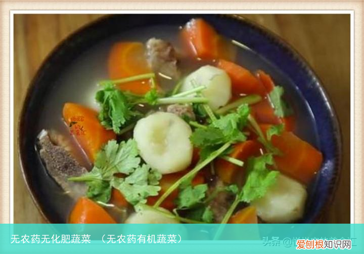 无农药有机蔬菜 无农药无化肥蔬菜