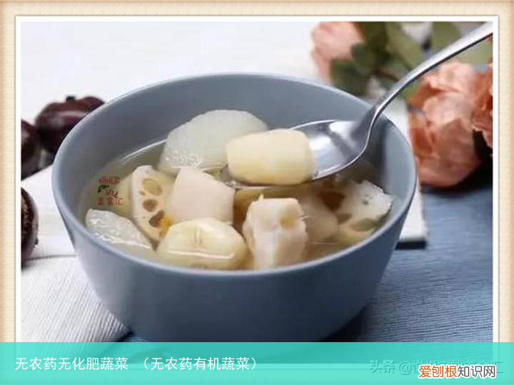 无农药有机蔬菜 无农药无化肥蔬菜