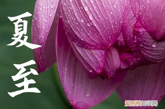 夏至是什么意思代表什么 夏至的民间习俗