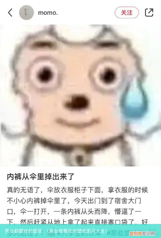 男女都喜欢的壁纸图片大全 男女都喜欢的壁纸