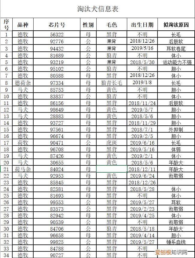 震惊！考不上公务员的小狗，是要被卖掉的！，小狗哥公务员
