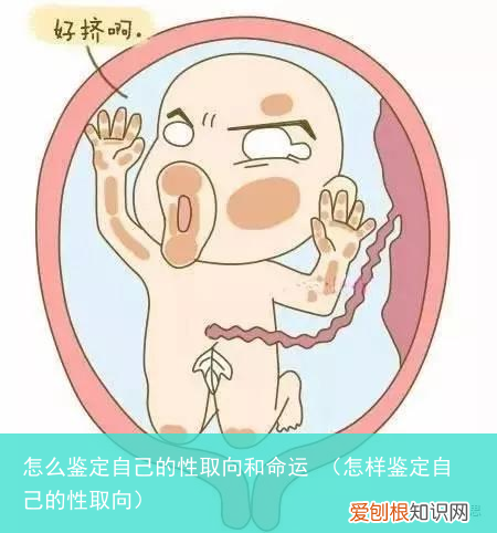 怎样鉴定自己的性取向 怎么鉴定自己的性取向和命运