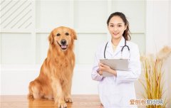 土狗为什么容易咬人，土狗容易咬人吗