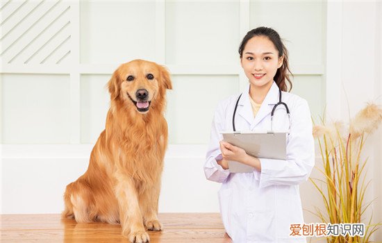 土狗为什么容易咬人，土狗容易咬人吗
