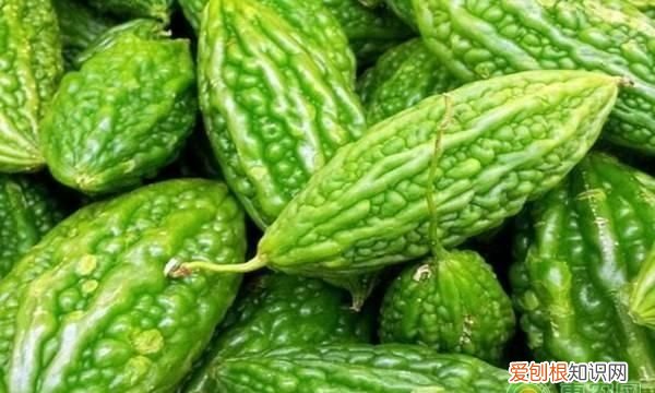 苦瓜泡醋能淡斑吗 苦瓜泡醋的做法