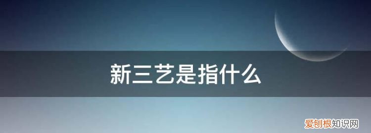三艺名词解释333 新三艺名词解释大全