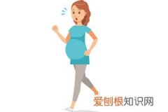 怀孕初期能吃黄瓜吗 ，怀孕初期能不能吃黄瓜