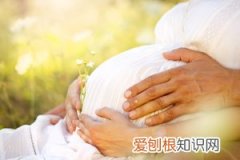 怀孕几个月最好不上班 ，一般怀孕几个月不上班