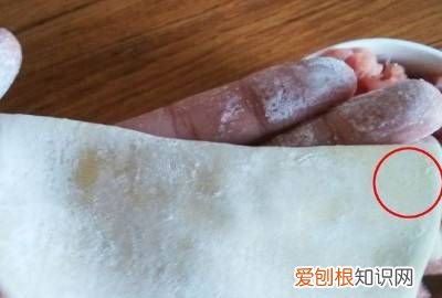 馄饨怎么包最简单? 馄饨怎么包来着
