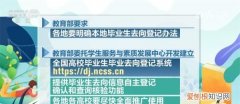 高校毕业生就业去向登记,全国高校毕业生去向登记