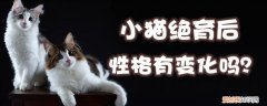 小猫绝育后性格,小猫，猫咪做完绝育后性格