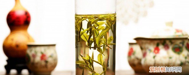 青梅绿茶怎么做 绿茶怎么做