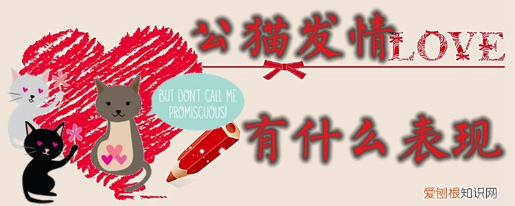 公猫发情,猫，公猫发情猫粮一点也不吃瘦了