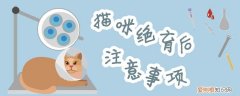 猫咪绝育,猫，猫咪绝育猫瘟