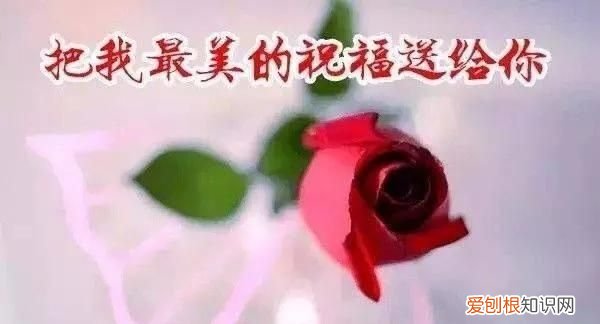 大米没有过期但是生虫子了还能吃吗