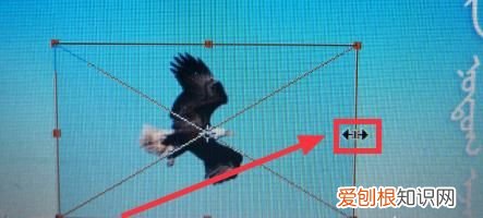 ps怎么把一张放到另一张上面