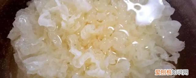 白木耳泡了一夜能吃吗会中毒吗 白木耳泡了一夜能吃吗