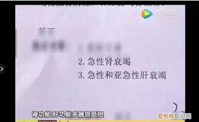 鱼身五处不能食用