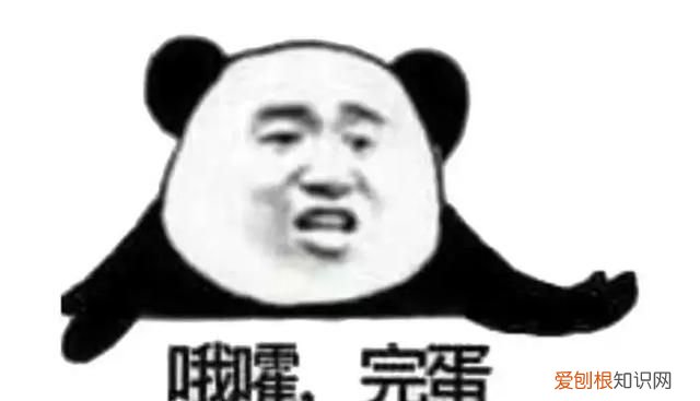 鱼身五处不能食用