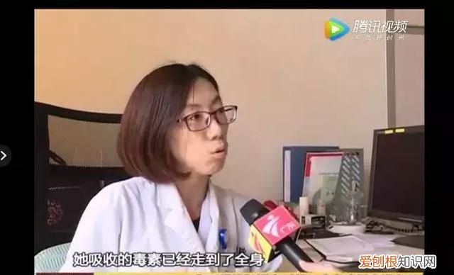 鱼身五处不能食用