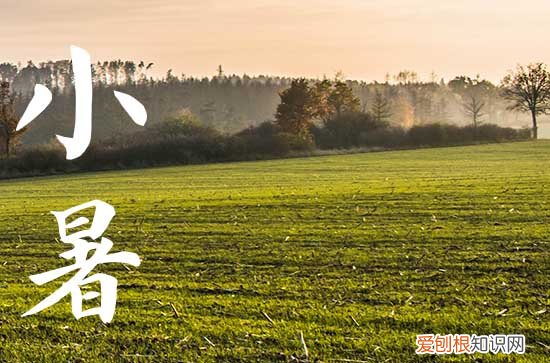 2023年暑伏的日期 2023年什么时候暑伏
