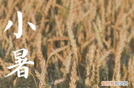 2023年啥时候暑伏 暑伏是什么时间开始的2023