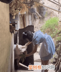 宅男一觉醒来,发现身边多了个女仆,从此走向人生巅峰!