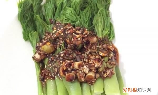 刺嫩芽适合生长的环境 刺嫩芽栽培技术视频
