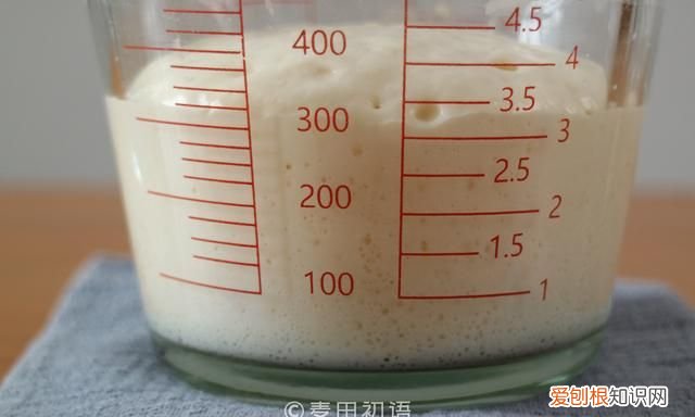 面包发酵到什么程度最好